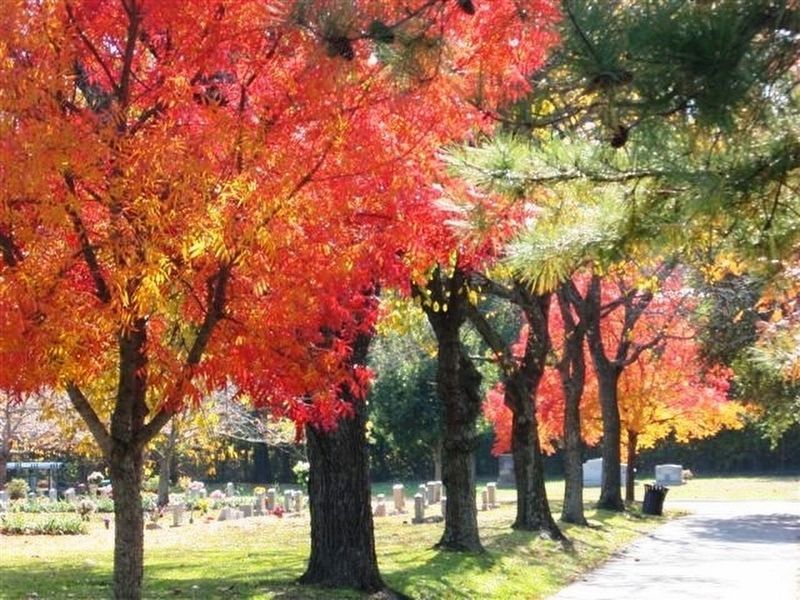 Forest Lawn Cemetery image. Click for more information.