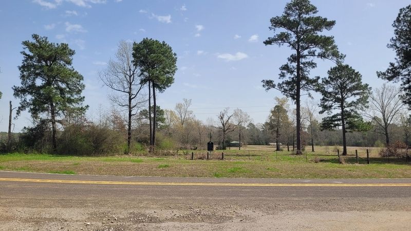 The view of the Site of Truitt Community Marker along the street image. Click for full size.