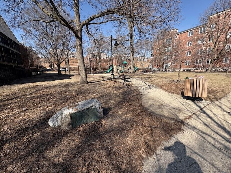 Vera Megowan Park image. Click for full size.