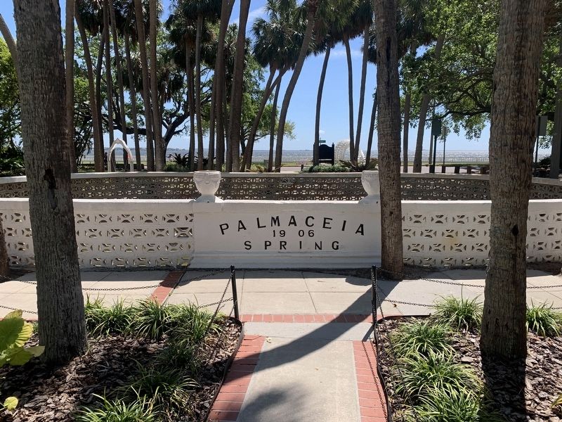 Palma Ceia Spring Pool image. Click for full size.