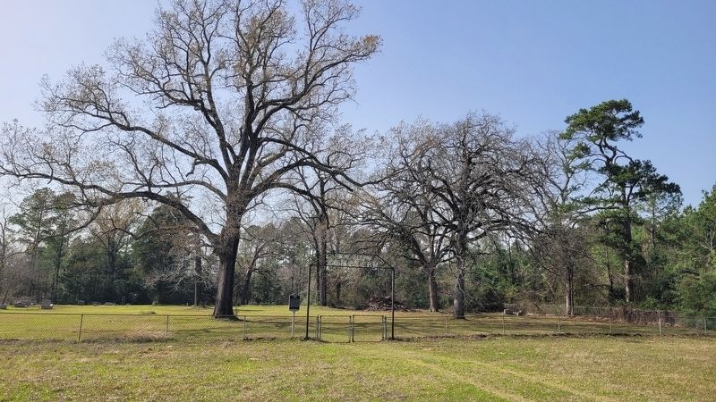 The view of the McCune Cemetery and Marker from the road. Click for full size. The view of the McCune Cemetery and Marker from the road image. Click for full size.