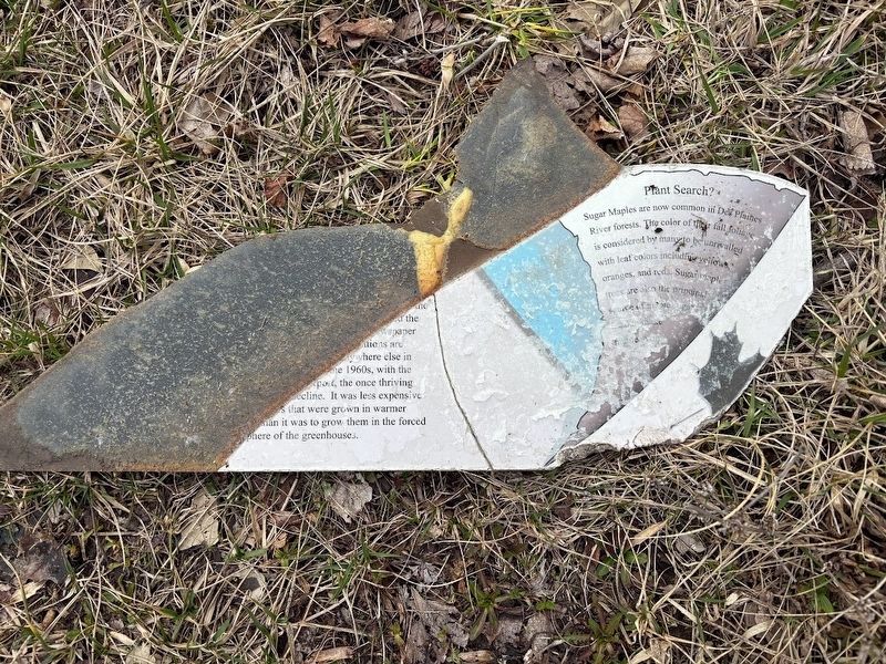 Des Plaines River Trail Marker broken portion. Click for full size. Des Plaines River Trail Marker broken portion image. Click for full size.