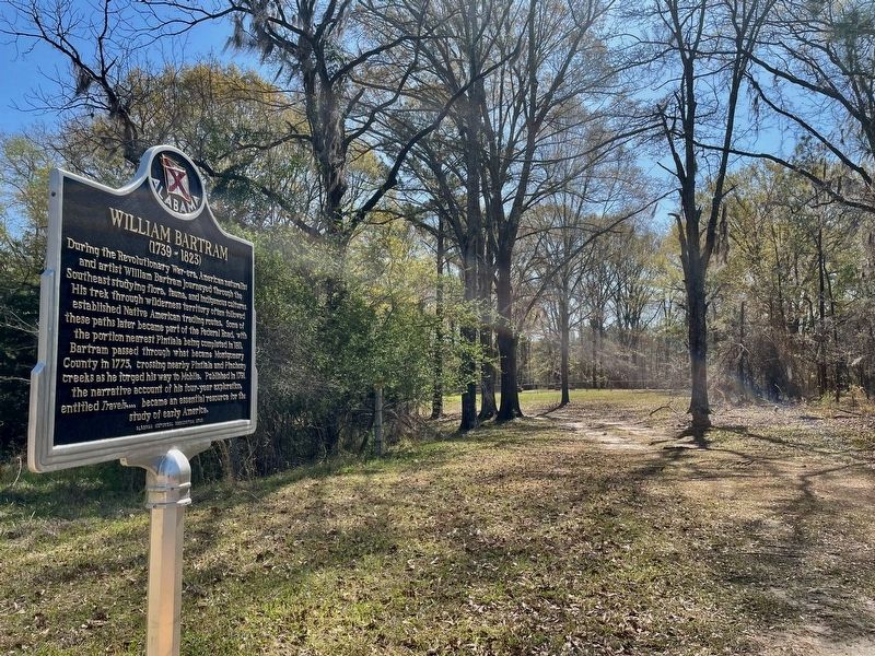 Marker is along road in front of the Murrell-Parmer Cemetery (in far background). image. Click for full size.