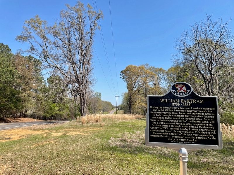 View from marker north on Federal Rd. image. Click for full size.