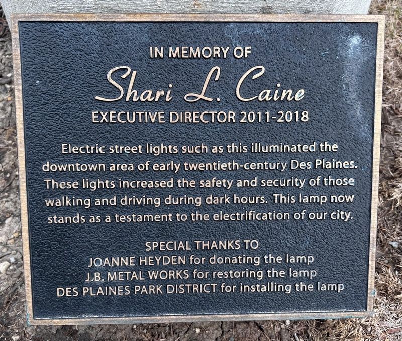 Shari L. Caine Memorial Street Lamp. Click for full size. Shari L. Caine Memorial Street Lamp image. Click for full size.