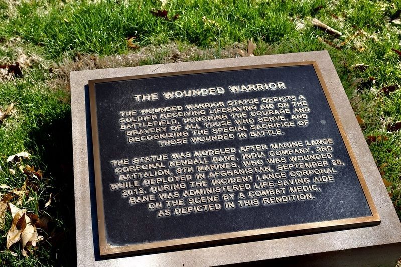 The Wounded Warrior - 3rd Plaque image. Click for full size.