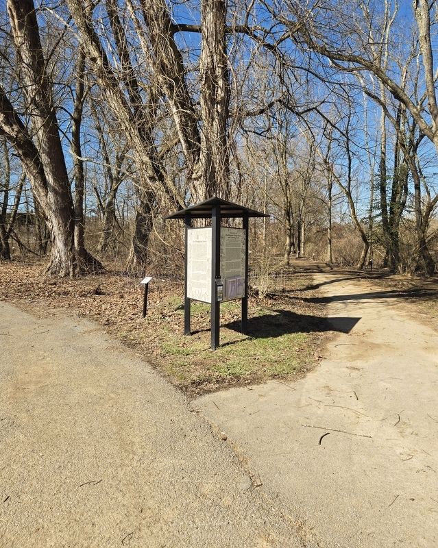 Welcome to the Buckhannon Nature Park and Learning Trail / Our Floodplain Forest Marker. Click for full size. Welcome to the Buckhannon Nature Park and Learning Trail / Our Floodplain Forest Marker image. Click for full size.