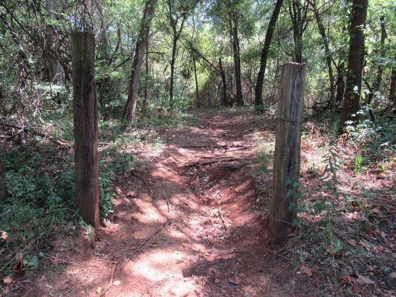 Posts marking entrance to trail. image. Click for full size.