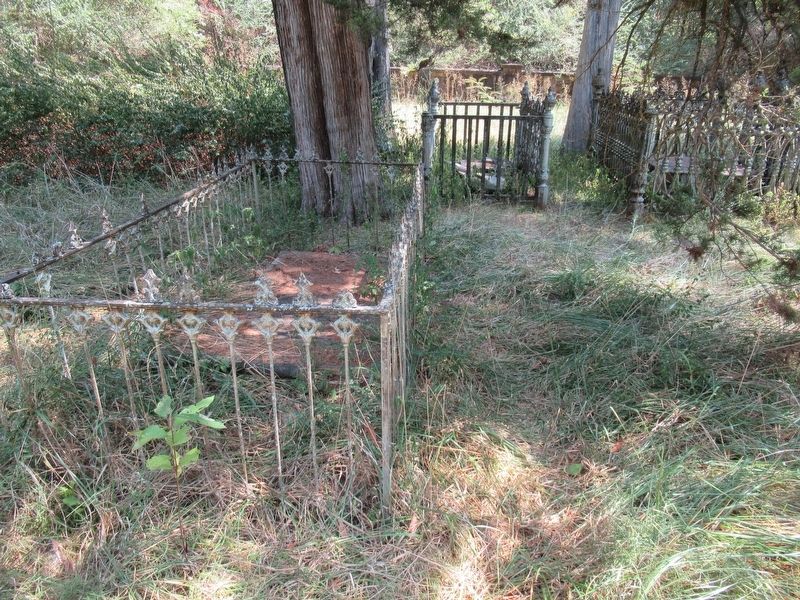 Robert M. Jones & Family Graves. image. Click for full size.