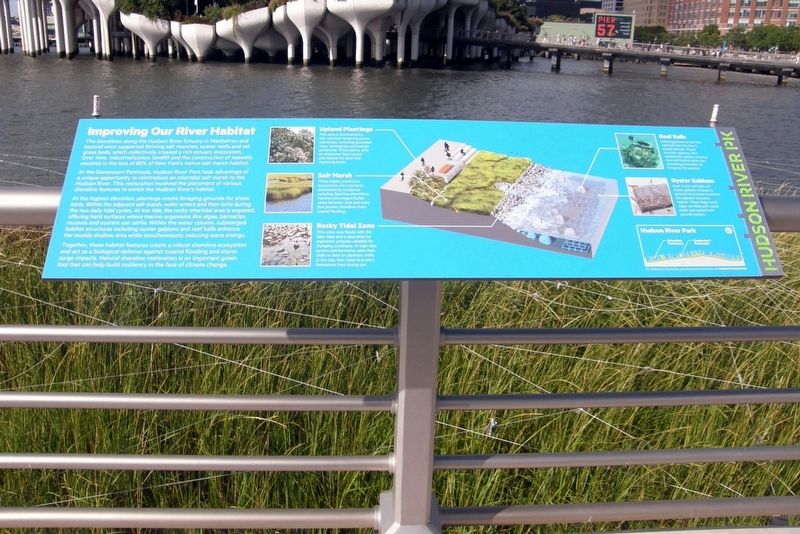 Improving Our River Habitat wayside. Click for full size. Improving Our River Habitat wayside image. Click for full size.