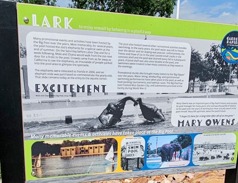 Lark Marker. Click for full size. Lark Marker image. Click for full size.