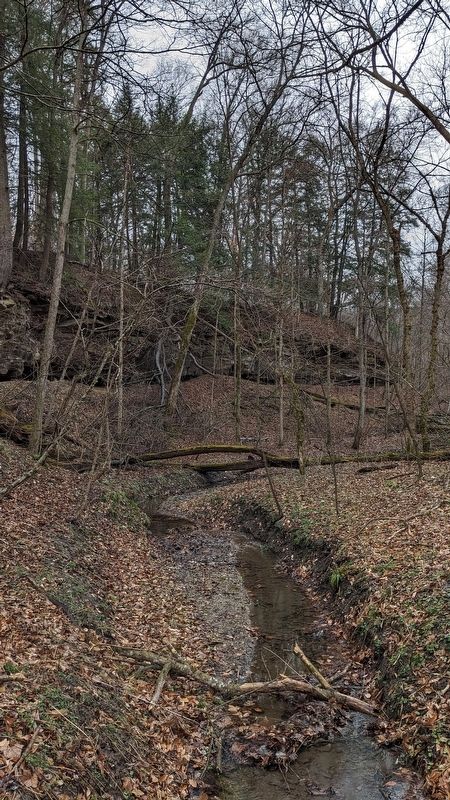 Newby Gulch image. Click for full size.