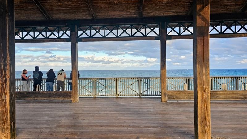 South Beach Pavilion image. Click for full size.