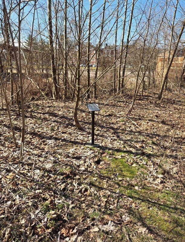 <i>Asimina triloba</i> (pawpaw, or West Virginia banana) Marker. Click for full size. <i>Asimina triloba</i> (pawpaw, or West Virginia banana) Marker image. Click for full size.