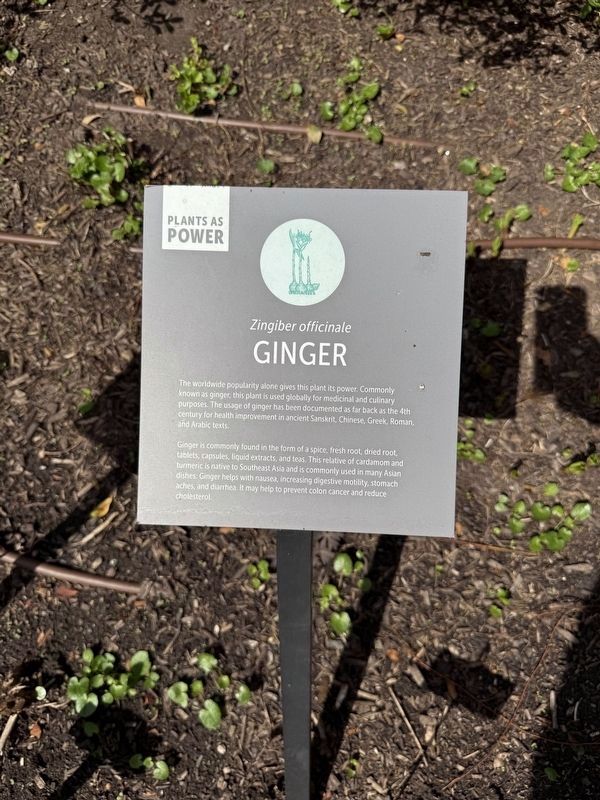 Ginger Marker. Click for full size. Ginger Marker image. Click for full size.