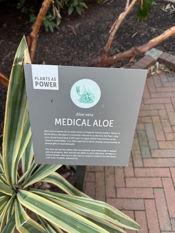 Medical Aloe Marker. Click for full size. Medical Aloe Marker image. Click for full size.