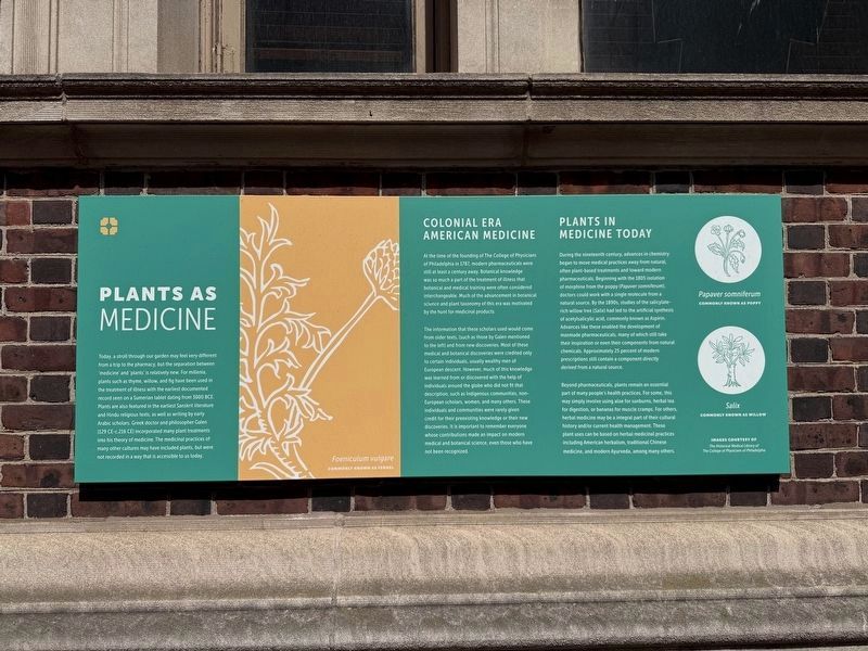 Plant As Medicine Marker. Click for full size. Plant As Medicine Marker image. Click for full size.