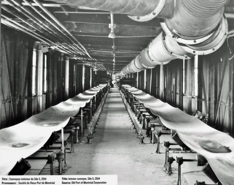 Marker detail: Interior conveyor, Silo 5, 2014 image. Click for full size.