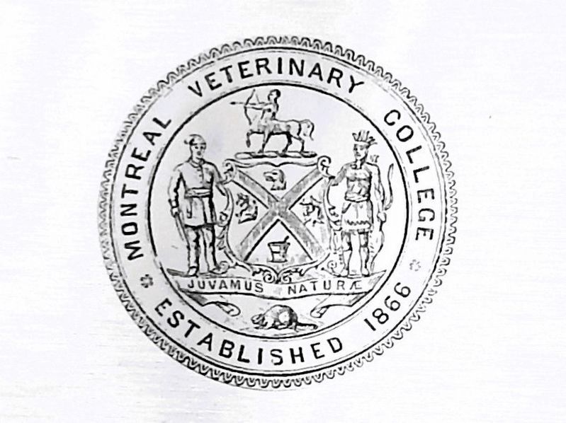 Marker detail: Montreal Veterinary College Seal. Click for full size. Marker detail: Montreal Veterinary College Seal image. Click for full size.
