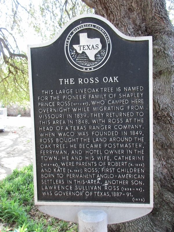 The Ross Oak Marker image. Click for full size.