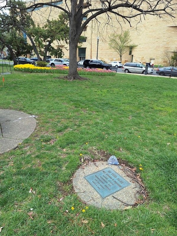 Mrs. Lyndon Johnson Planted Azaleas Here Marker. Click for full size. Mrs. Lyndon Johnson Planted Azaleas Here Marker image. Click for full size.