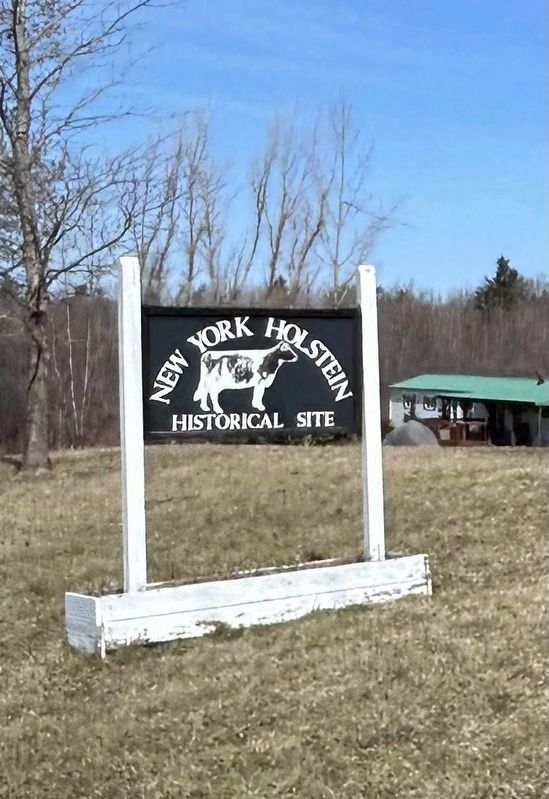 New York Holstein Historical Site Marker. Click for full size. New York Holstein Historical Site Marker image. Click for full size.