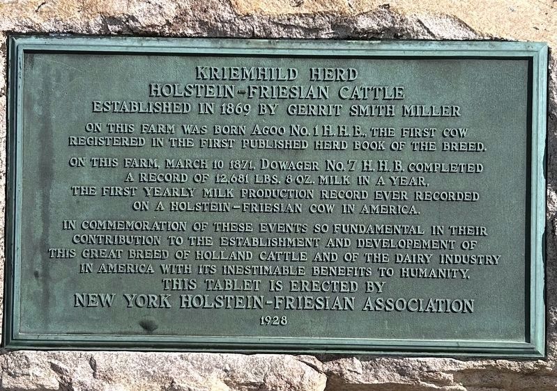 Kriemhild Herd Marker. Click for full size. Kriemhild Herd Marker image. Click for full size.