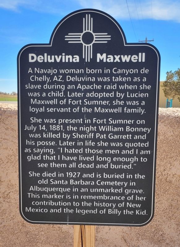 Deluvina Maxwell Marker. Click for full size. Deluvina Maxwell Marker image. Click for full size.