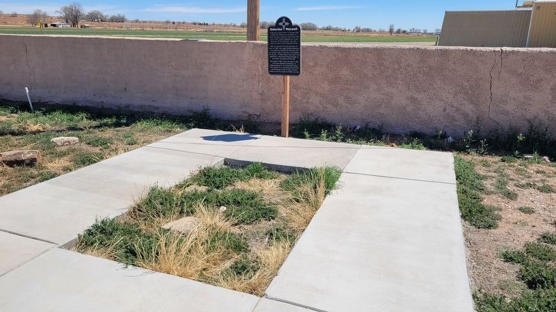 The view of the Deluvina Maxwell Marker in the cemetery. Click for full size. The view of the Deluvina Maxwell Marker in the cemetery image. Click for full size.