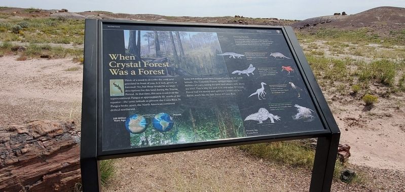 When Crystal Forest Was a Forest Marker. Click for full size. When Crystal Forest Was a Forest Marker image. Click for full size.