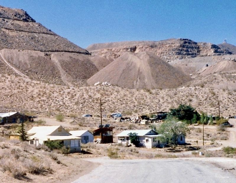 Yellow Aster Gold Mine image. Click for full size.