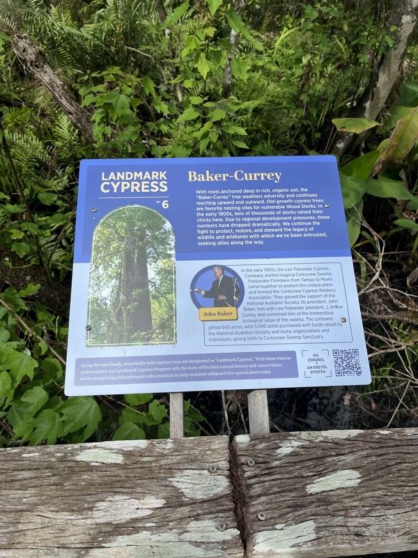 Baker - Curreu Marker. Click for full size. Baker - Curreu Marker image. Click for full size.