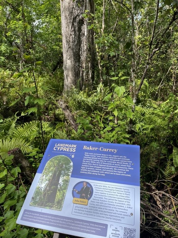 Baker - Currey Marker. Click for full size. Baker - Currey Marker image. Click for full size.