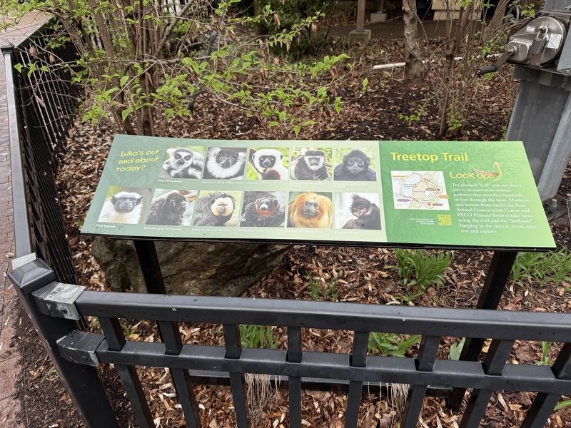 Nearby interpretive signage for the Treetop Zoo360 Trail System. Click for full size. Nearby interpretive signage for the Treetop Zoo360 Trail System image. Click for full size.