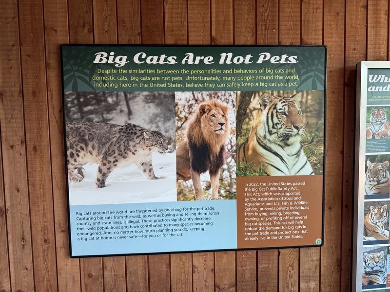 Big Cats Are Not Pets Marker image. Click for full size.