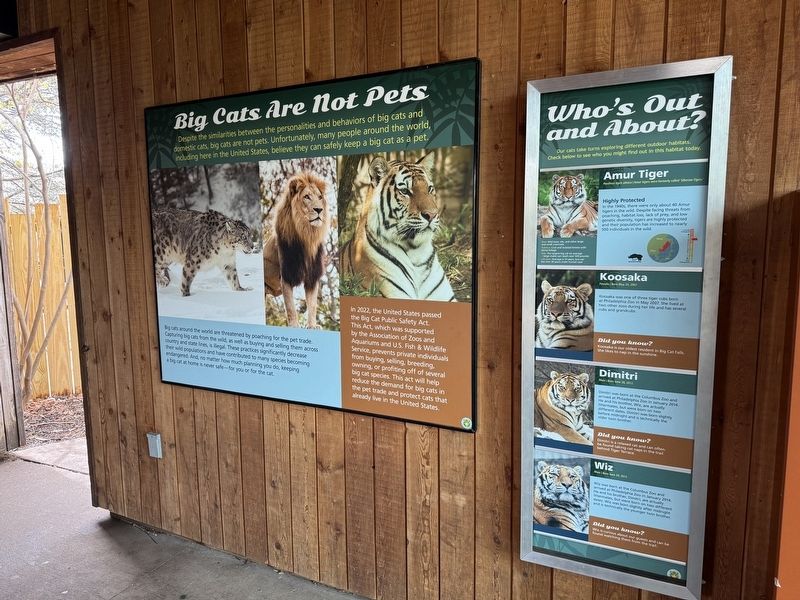 Big Cats Are Not Pets Marker image. Click for full size.