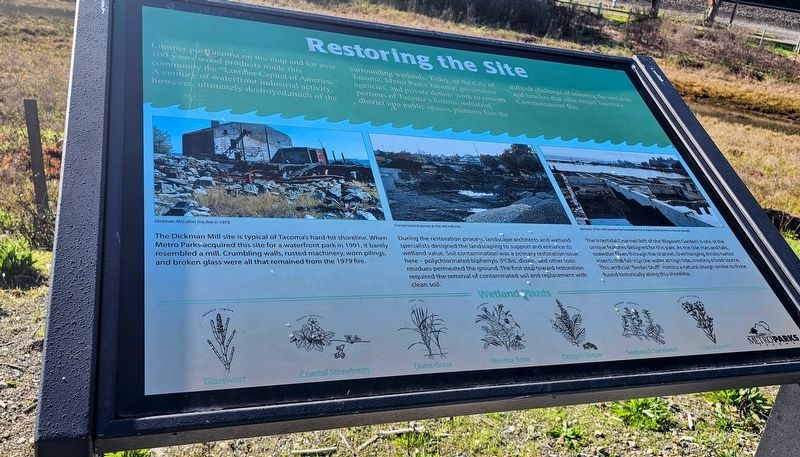 Restoring the Site Marker. Click for full size. Restoring the Site Marker image. Click for full size.