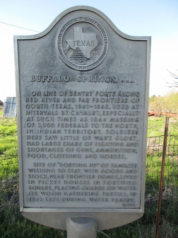 Buffalo Springs, C.S.A. Marker. Click for full size. Buffalo Springs, C.S.A. Marker image. Click for full size.