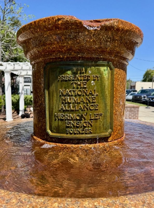 The Water Trough. Click for full size. The Water Trough image. Click for full size.