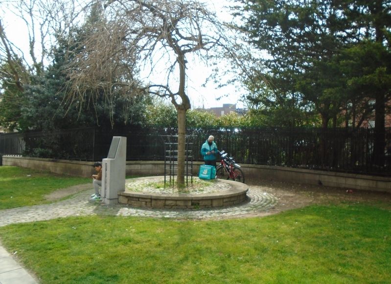 Founding of the Irish Volunteers Marker. Click for full size. Founding of the Irish Volunteers Marker image. Click for full size.