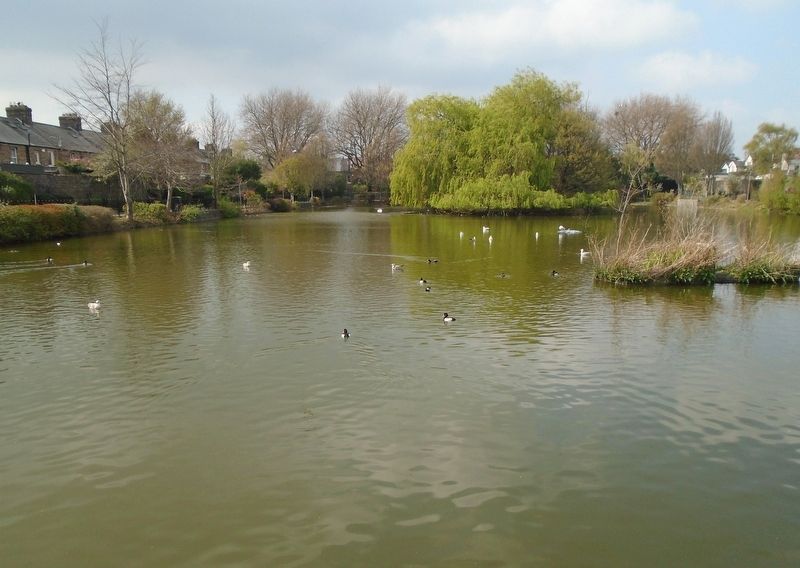 Blessington Street Basin View. Click for full size. Blessington Street Basin View image. Click for full size.