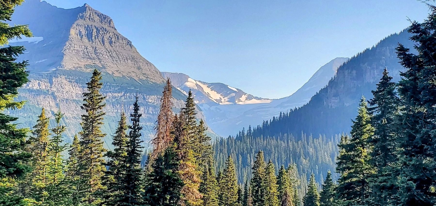 Jackson Glacier image. Click for full size.