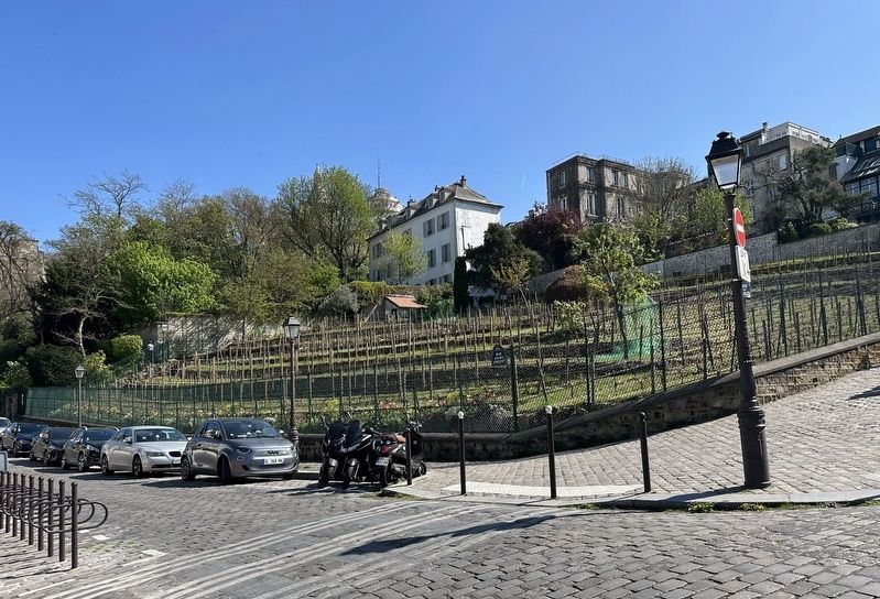View of Clos Montmartre (marker site is out of the picture, on the right). Click for full size. View of Clos Montmartre (marker site is out of the picture, on the right) image. Click for full size.