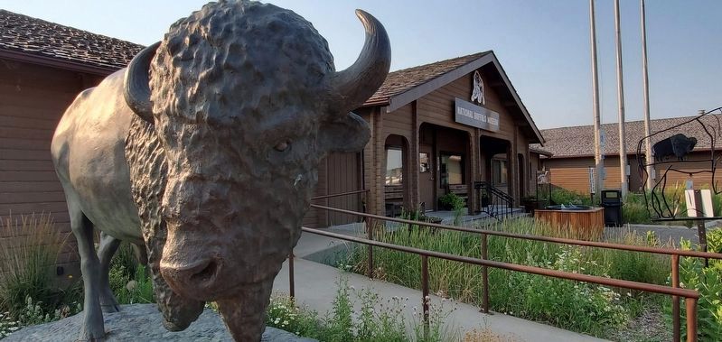 National Buffalo Museum. Click for full size. National Buffalo Museum image. Click for full size.