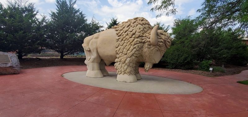 Buffalo at Reconciliation Park. Click for full size. Buffalo at Reconciliation Park image. Click for full size.