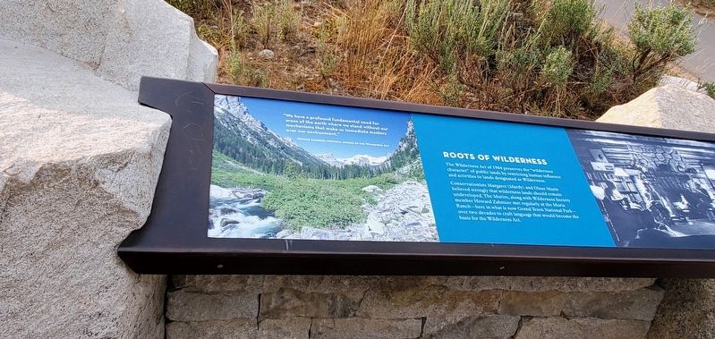 Roots of Wilderness Marker. Click for full size. Roots of Wilderness Marker image. Click for full size.