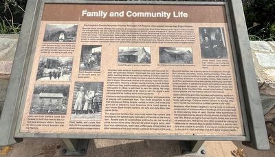 Family and Community Life Marker image. Click for full size.