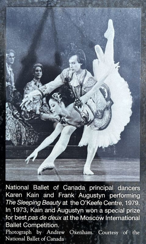 O�Keefe Centre for the Performing Arts marker photo and caption detail (left) image. Click for full size.