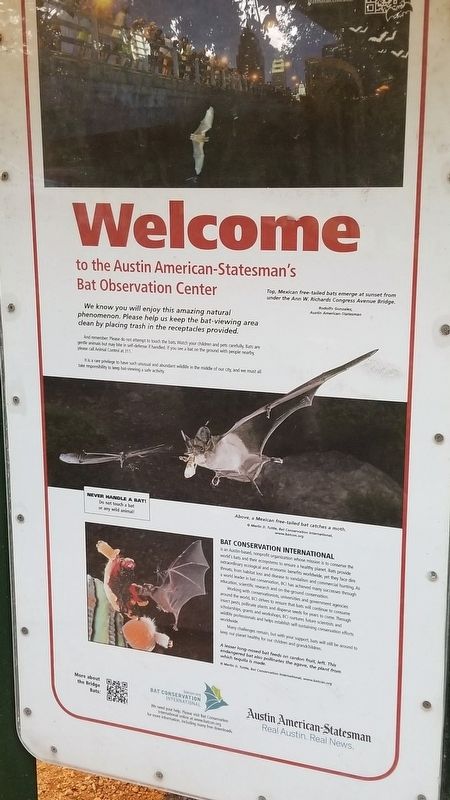 Bat Observation Station Marker. Click for full size. Bat Observation Station Marker image. Click for full size.