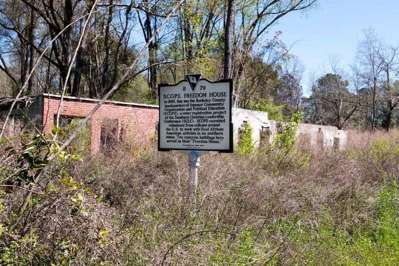 The Ruins of the S.C.O.P.E. Freedom House and the Marker image. Click for full size.